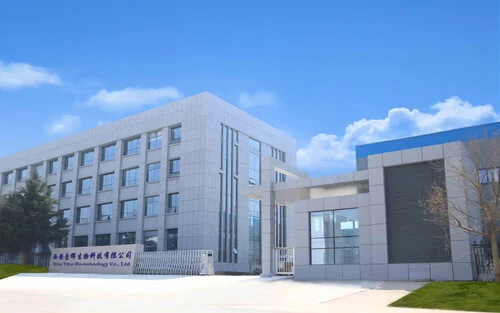 meist Kes me oleme 配图.jpg