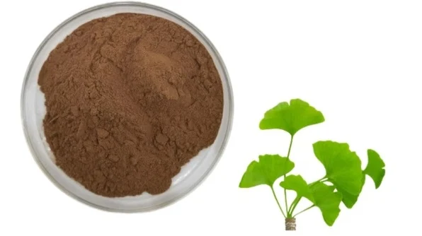 Ginkgo biloba lehtede ekstrakt 1.webp