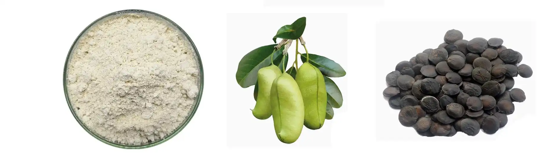 product-1-1 product-1-1