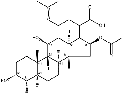 product-1-1