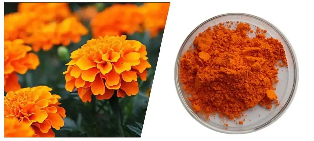 product-1-1 product-1-1