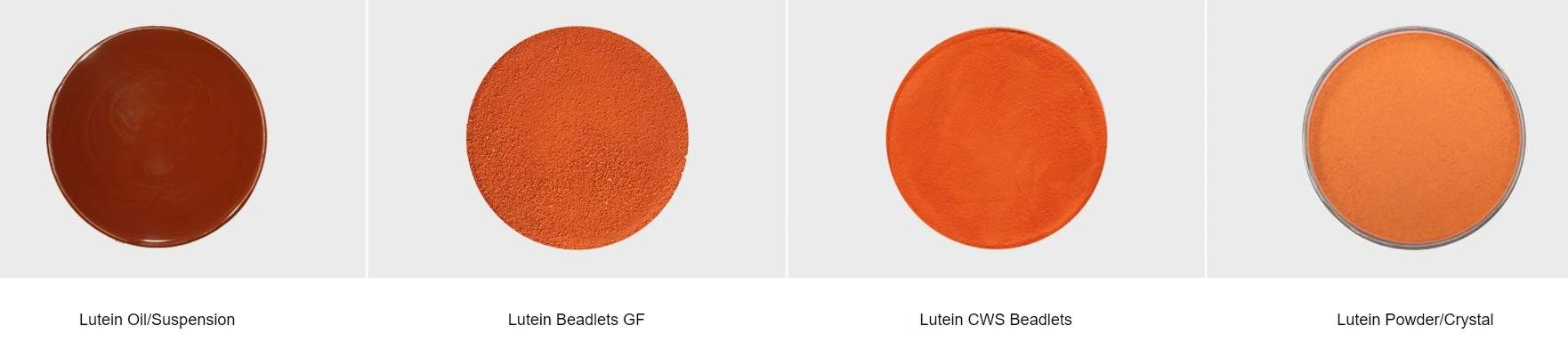 product-1-1 product-1-1