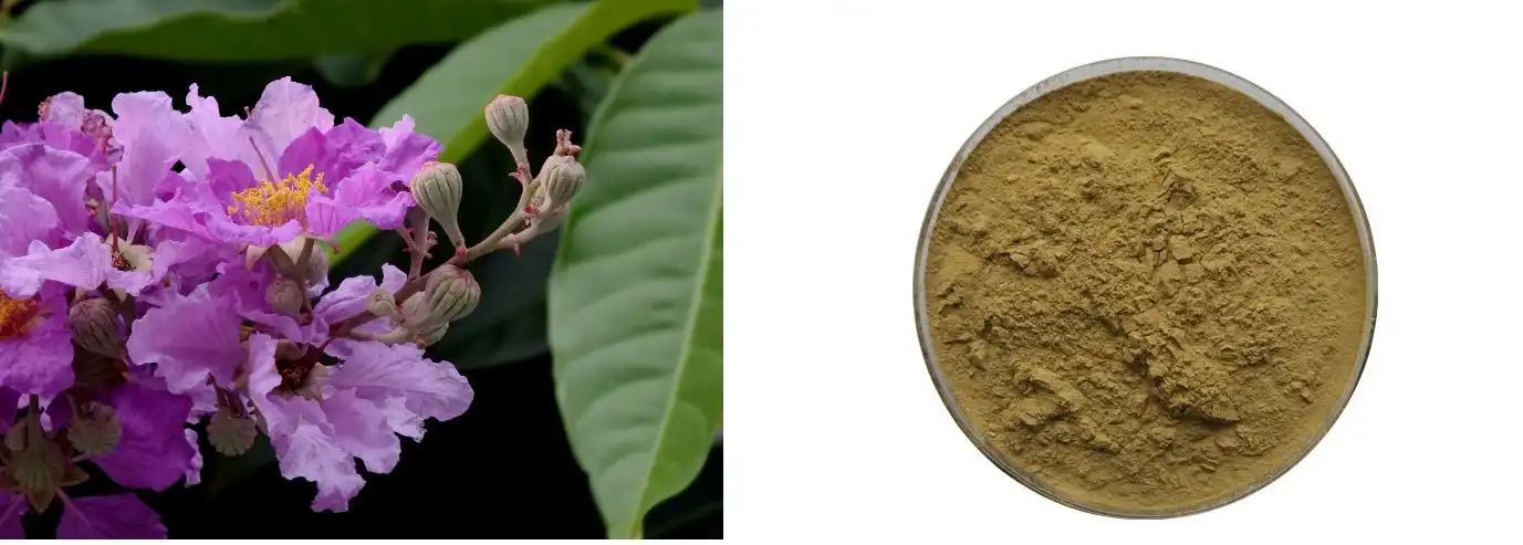 product-1-1 product-1-1