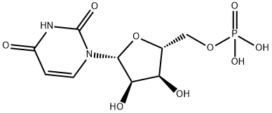 product-1-1 product-1-1