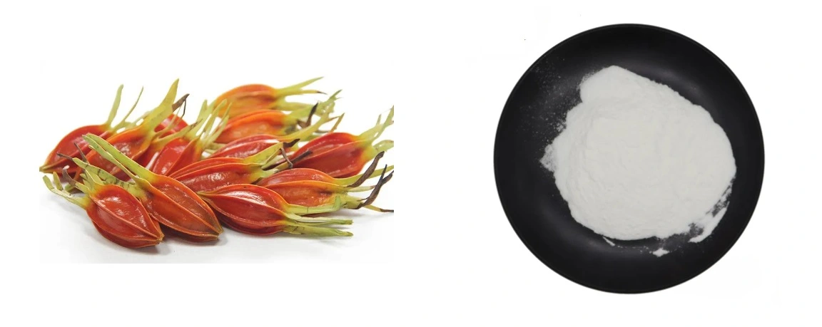 product-1-1 product-1-1