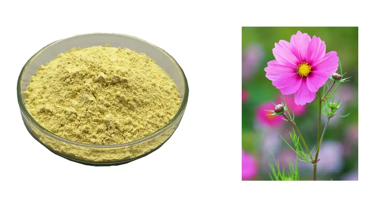 product-1-1 product-1-1