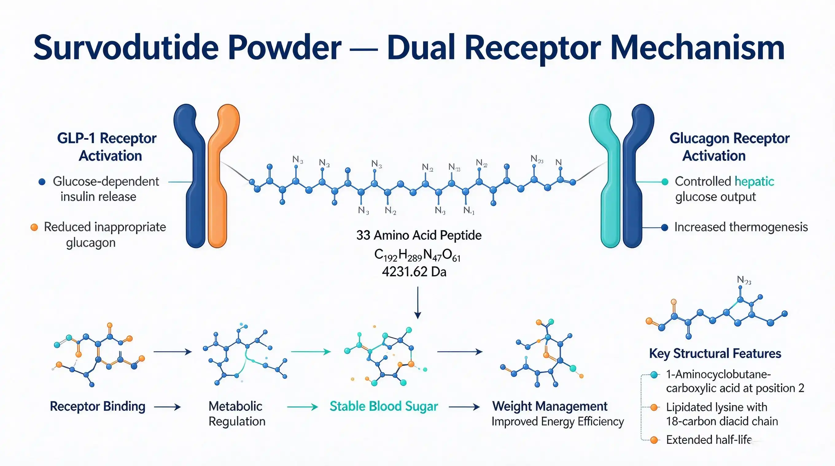 Survodutide powder