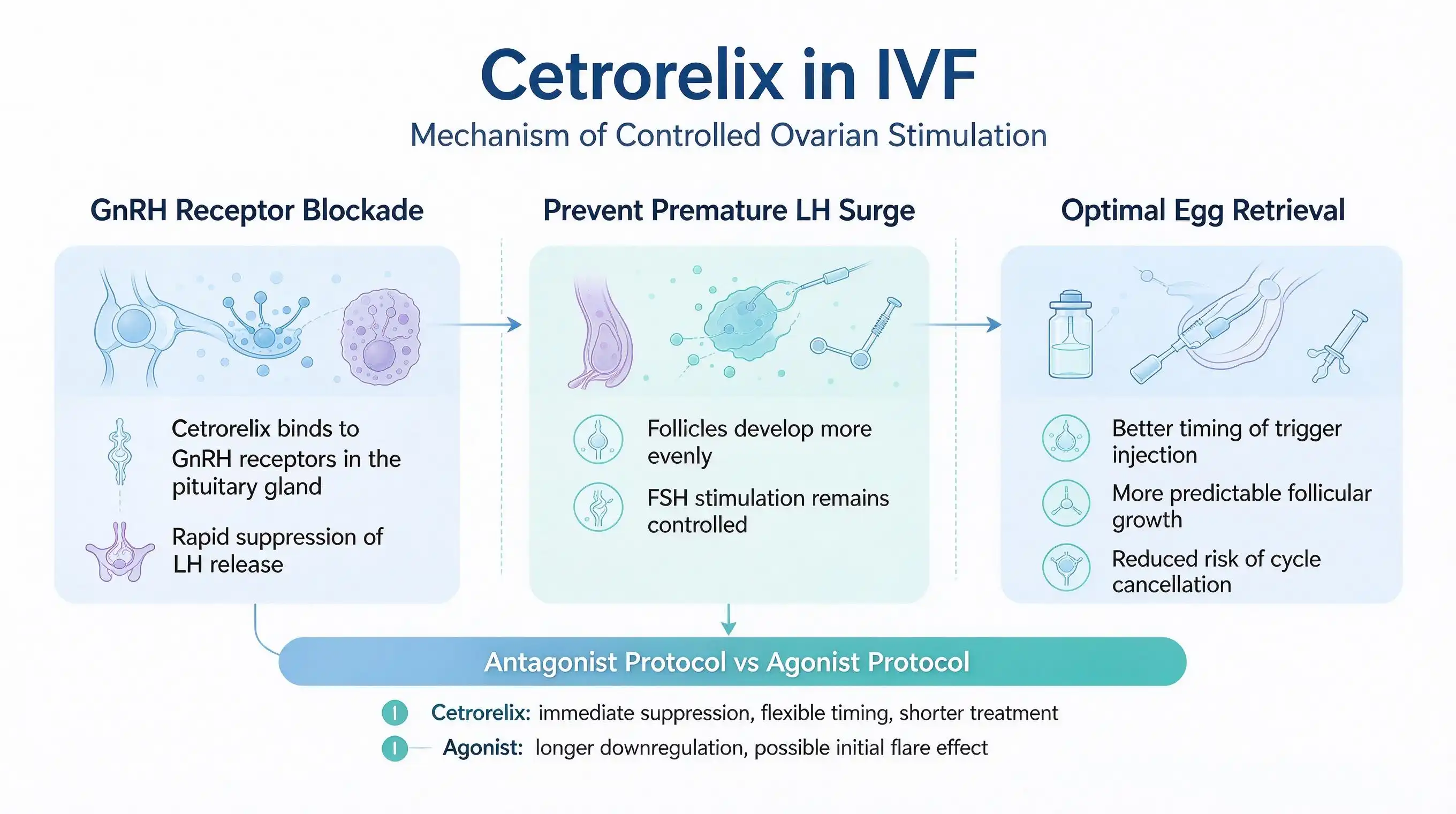 Cetrorelix powder Cetrorelix powder