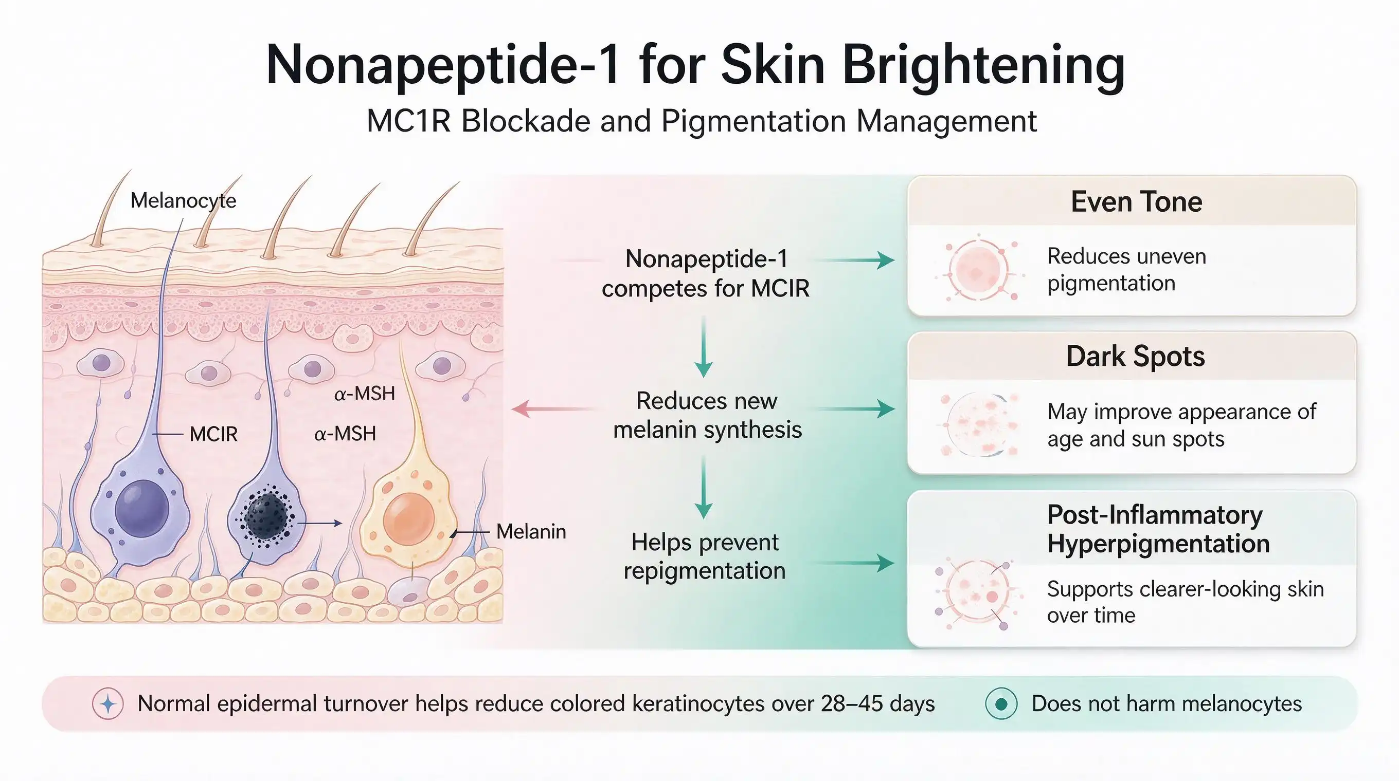 Cosmetic peptide Nonapeptide-1