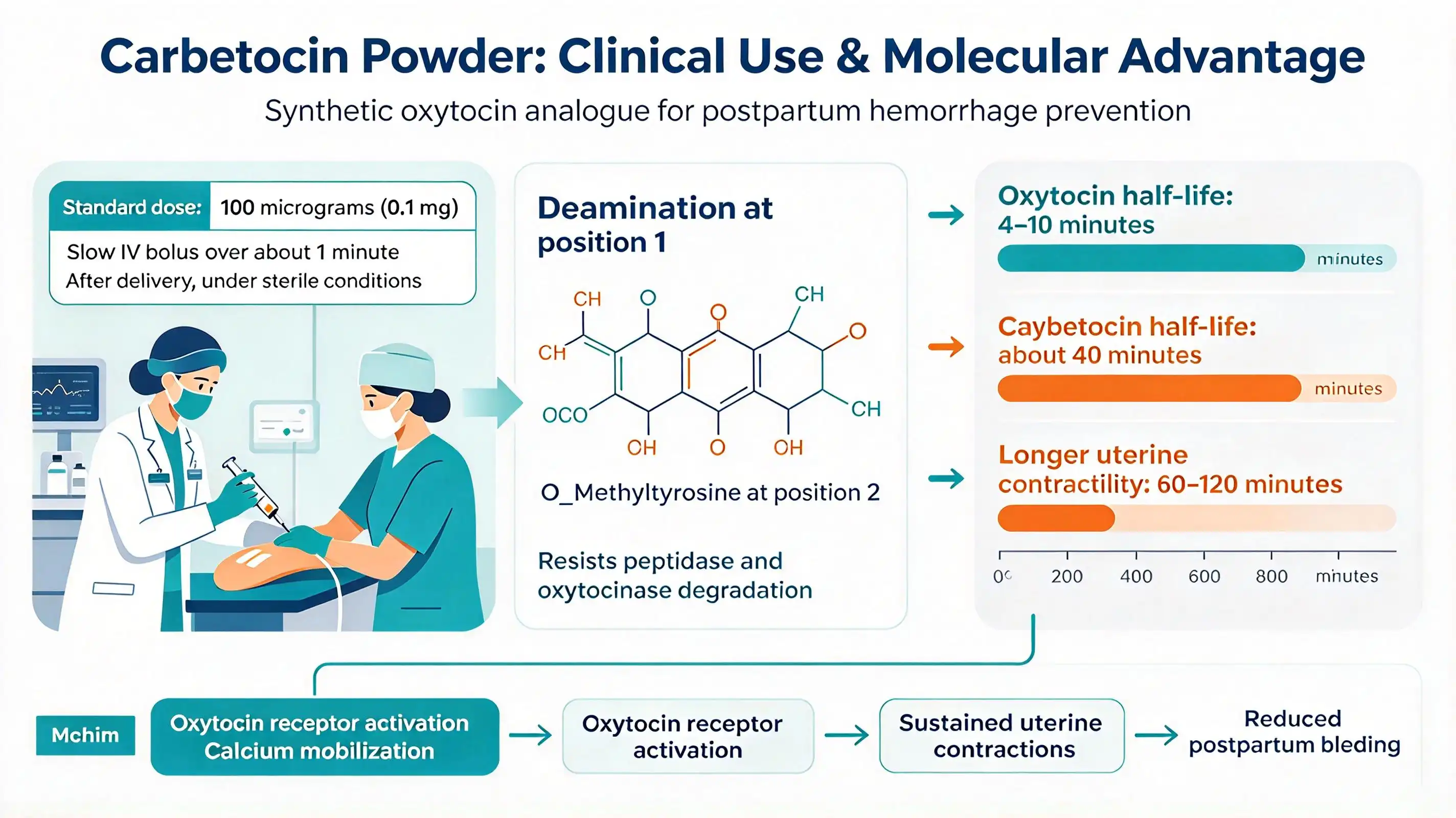 Carbetocin powder Carbetocin powder