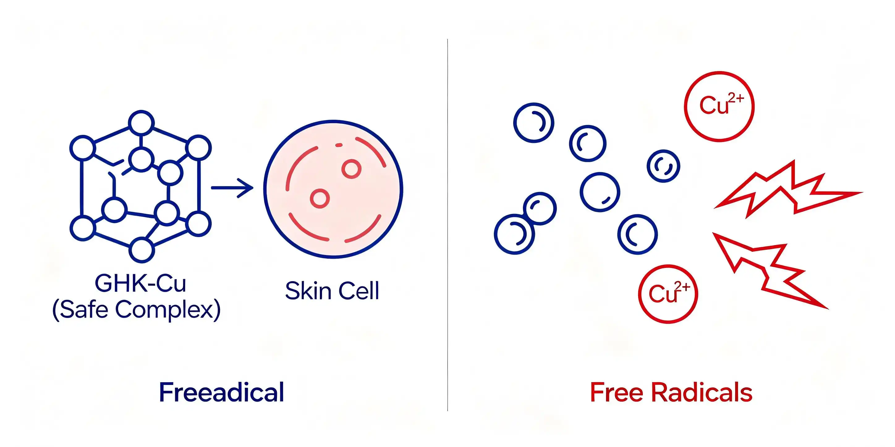 Anti-aging GHK-Cu factory