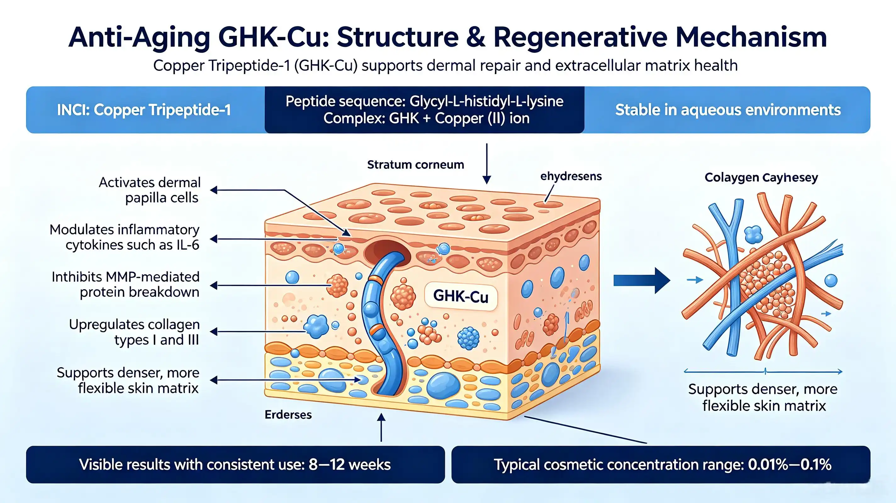 Anti-aging GHK-Cu Anti-aging GHK-Cu