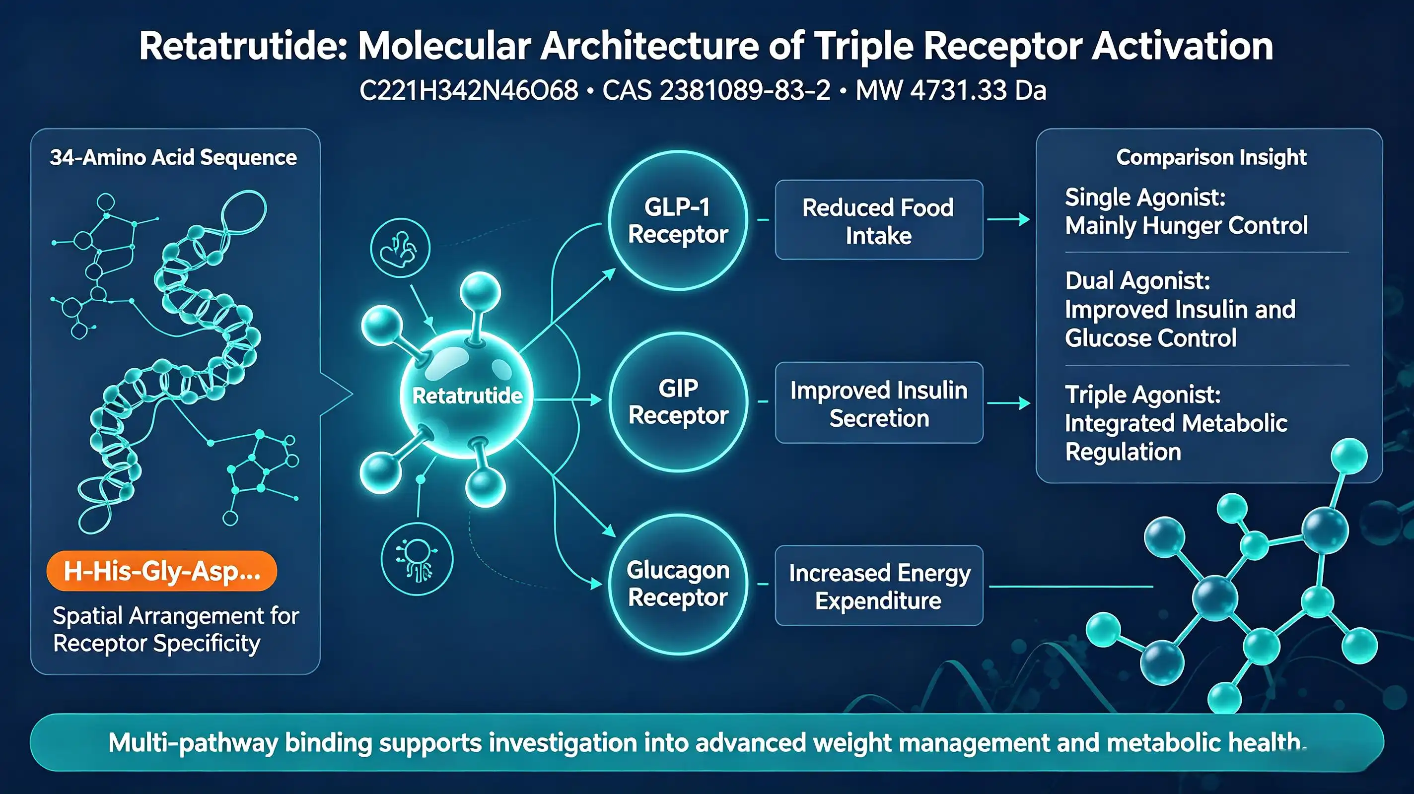 Triple agonist peptide Retatrutide